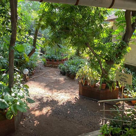 Peace Lily Cottage Карджат Экстерьер фото